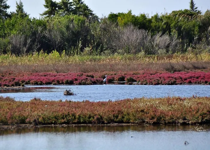 Zeas * Χαλικούνας